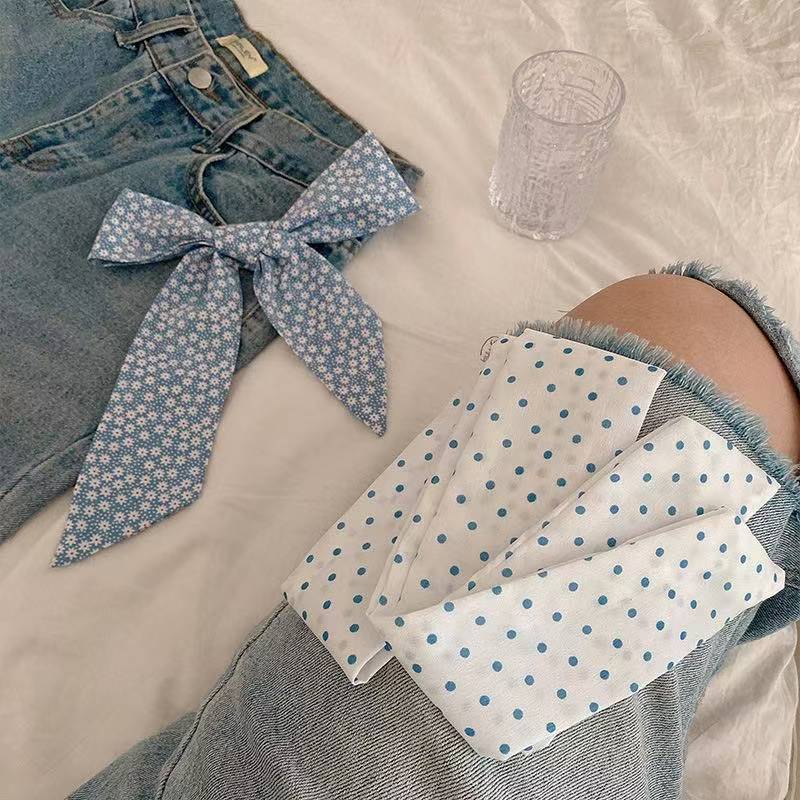 New Spring Blue‑Tone Twilly Sc - đánh giá và giá Travel Accessories Aesthetic